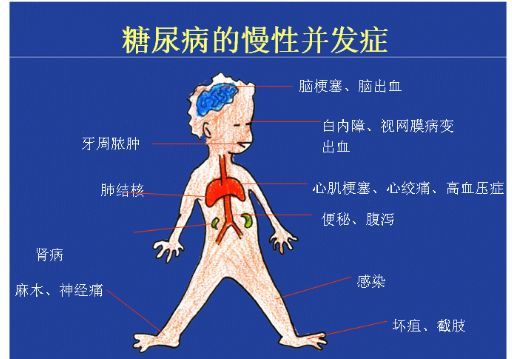 小分子肽有降血糖的作用吗?为什么血糖人群忽高忽低,其时原因就是在这里(图1)